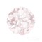 Leafy Abstract Circle I Blush Gray Poster Print by Danhui Nai - Item # VARPDX41996